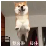 我來啦