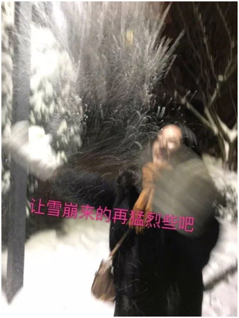 雪（xuě）地照