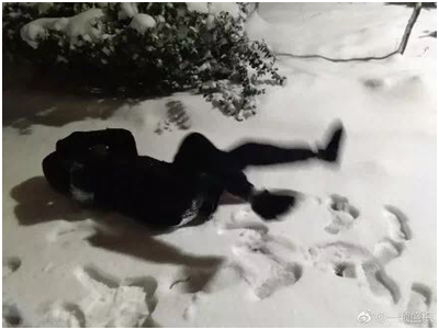 雪地照（zhào）