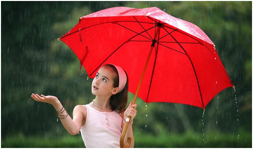 暴雨專用雨傘