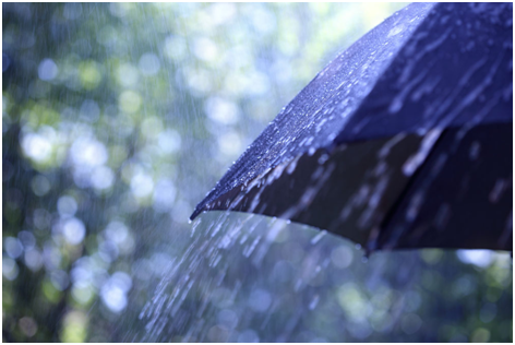 暴雨專（zhuān）用雨（yǔ）傘