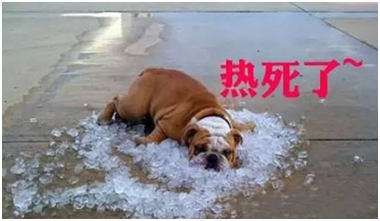 熱