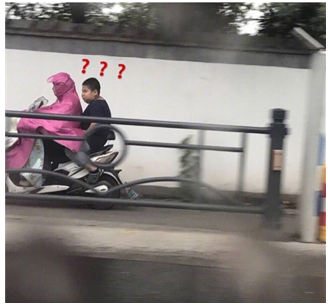 虐寶記