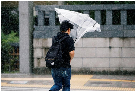 台（tái）風（fēng）下的透明傘