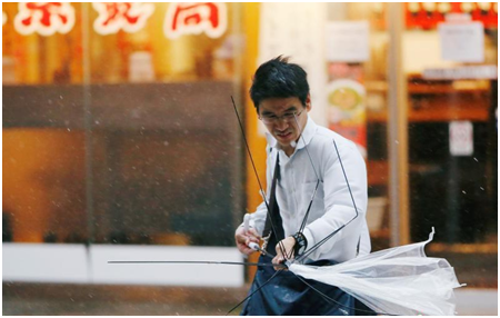 台風下的透明（míng）傘